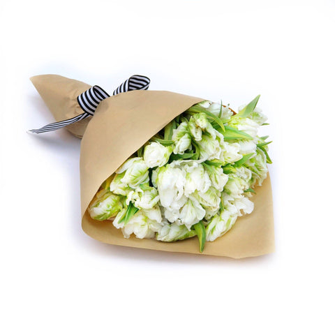 white parrot tulips fresh flowers online delivery hong kong