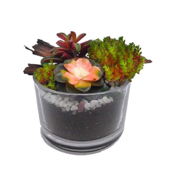 Succulent arrangement | The Jaime| delivery Hong Kong