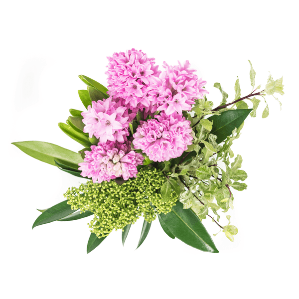 Pink Hyacinth Floral Arrangement | The Blossom BYDEAU