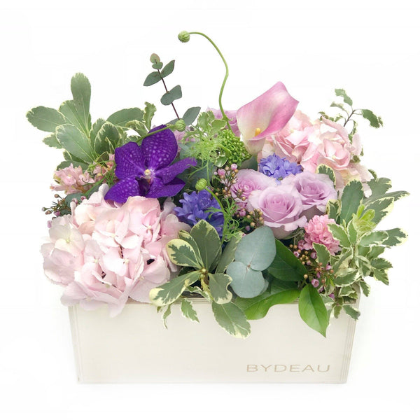 orchid rose arrangement same day delivery BYDEAU