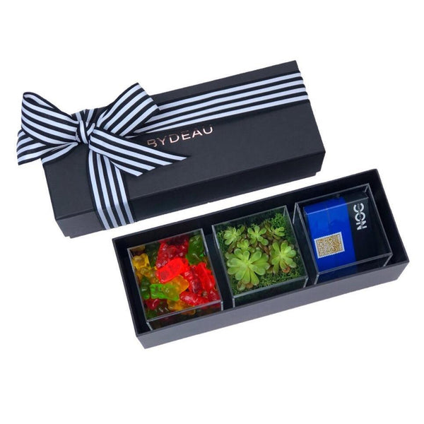 sweets succulents plants gift box hong kong